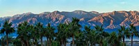 Palm trees with mountain range in the background, Furnace Creek Inn, Death Valley, Death Valley National Park, California, USA Fine Art Print