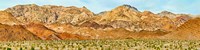 Bushes in a desert with mountain range in the background, Death Valley, Death Valley National Park, California Fine Art Print