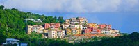 Villas on a hill, Cruz Bay, St. John, US Virgin Islands Fine Art Print