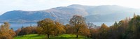 Autumn trees with mountains in background, Derwent Water, Lake District National Park, Cumbria, England Fine Art Print
