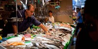 Fishmonger at a fish stall, La Boqueria Market, Ciutat Vella, Barcelona, Catalonia, Spain Fine Art Print