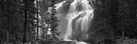 Waterfall in a forest, Banff, Alberta, Canada (black and white) Fine Art Print