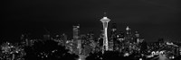 Seattle Space Needle at Night 2010 Fine Art Print