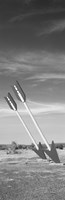 Twin arrows in the field, Route 66, Arizona (black and white) by Panoramic Images - 12" x 37"