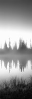 Reflection of trees in a lake in black and white, Mt Rainier National Park, Washington State Fine Art Print