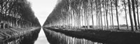 Belgium, tree lined waterway through countryside (black and white) Fine Art Print