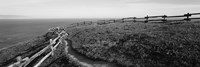 Rail fence at the coast, Point Reyes, California, USA Fine Art Print