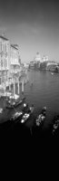 Gondolas in the Grand Canal, Venice, Italy (vertical, black & white) by Panoramic Images - various sizes