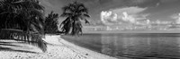 Palm trees on the beach, Matira Beach, Bora Bora, French Polynesia Fine Art Print