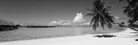 Moana Beach (black and white), Bora Bora, Tahiti, French Polynesia Fine Art Print