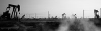 Oil drills in a field, Maricopa, Kern County, California (black and white) Fine Art Print