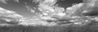 Hayden Prairie, Iowa (black and white) by Panoramic Images - various sizes