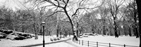 Central Park in Snow Fine Art Print