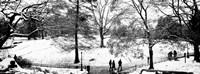 High angle view of a group of people in a park, Central Park, Manhattan, New York Fine Art Print