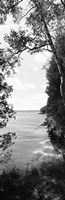 Trees at the lakeside in black and white, Lake Michigan, Wisconsin Fine Art Print