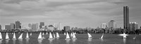 Black and white view of boats on a river by a city, Charles River,  Boston Fine Art Print