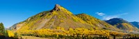 Aspen trees on mountain, Anvil Mountain, Million Dollar Highway, Silverton, Colorado, USA Fine Art Print
