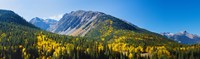 Aspen trees on mountain, Little Giant Peak, King Solomon Mountain, San Juan National Forest, Colorado, USA Fine Art Print