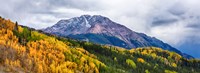 Trees on mountains, San Juan National Forest, Colorado, USA Fine Art Print