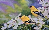 Spring Delight by Cory Carlson - various sizes - $22.49