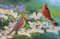 Cardinals Of Spring by Cory Carlson - various sizes