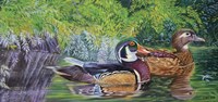 Bayou Wood Ducks Fine Art Print