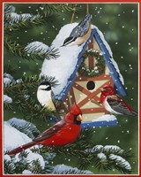 Birds At Feeder (Winter) Fine Art Print