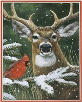 Deer With Cardinal Fine Art Print