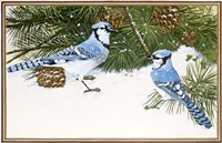 Bluejays Fine Art Print