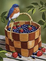 Blueberry Basket Fine Art Print