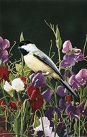 Sweet Peas And Chickadee Fine Art Print
