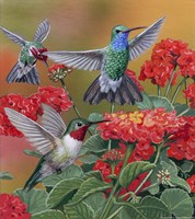 Hummingbirds & Flowers Fine Art Print