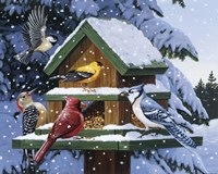 Winter Feast Fine Art Print