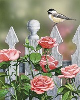 Country Garden Fine Art Print