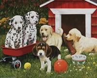 Puppy Playmates Fine Art Print