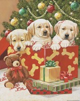 Holiday Puppies Fine Art Print
