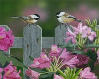 Back Yard Chat by William Vanderdasson - various sizes, FulcrumGallery.com brand