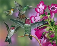 Up And Away Fine Art Print