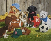 Let's Play Ball Fine Art Print