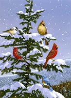 Songbirds On A Limb Fine Art Print