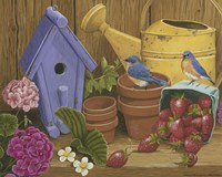 Signs Of Spring Fine Art Print