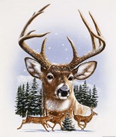 Whitetail Deer Montage/ Winter Fine Art Print