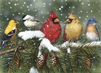 Backyard Birds On Snowy Branch Fine Art Print