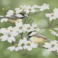 Springtime And Chickadees Fine Art Print