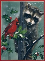 Raccoon - winter Fine Art Print