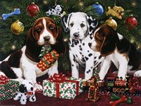 Christmas Puppies 2 Fine Art Print