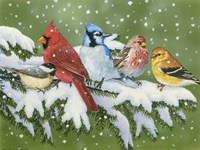 Winter Friends Fine Art Print