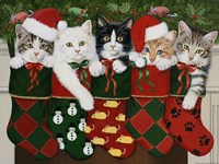 Christmas Kittens Fine Art Print