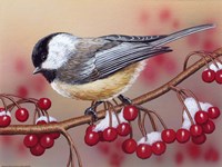 Chickadee With Berries Fine Art Print