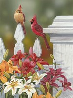 Lilies And Cardinals Fine Art Print